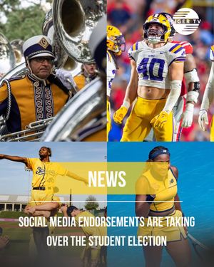 Image post by @lsutigertv on Instagram