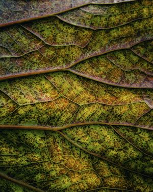 Image post by @unsplash on Instagram