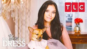 Video post by @tlc on YouTube