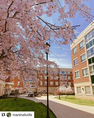 Image post by @marshallu on Instagram