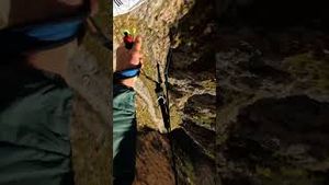 Video post by @gopro on YouTube