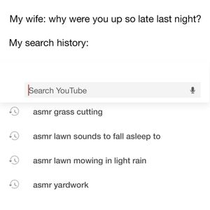 Image post by @scottslawn on Instagram