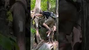Video post by @wzdxnewsfox54 on YouTube