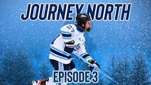 Video post by @maineblackbears on YouTube