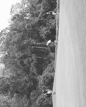 Image post by @staugustineamateur on Instagram