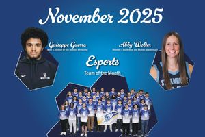 Image post by @saubees on Instagram