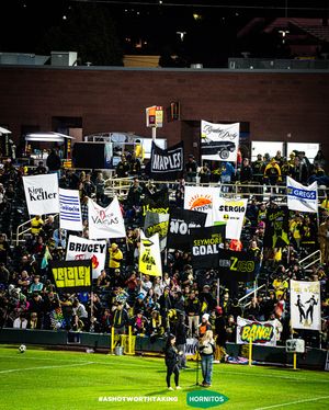 Image post by @newmexicoutd on Instagram
