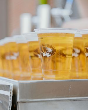 Image post by @missouri_baseball on Instagram