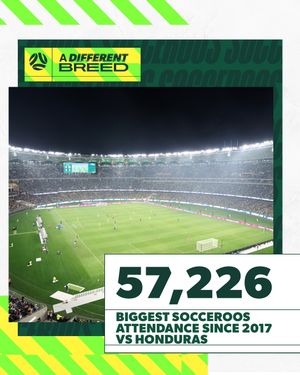 Image post by @socceroos on Instagram