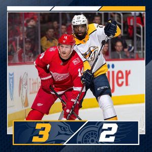Image post by @predsnhl on Instagram