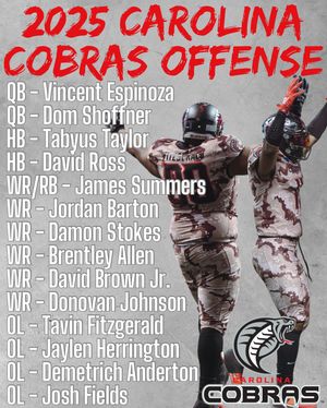 Image post by @carcobras on Instagram