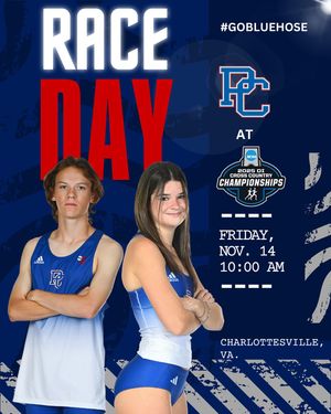 Image post by @bluehosexc on Instagram