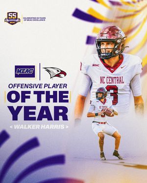 Image post by @meacsports on Instagram
