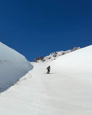 Image post by @thesnowleague on Instagram