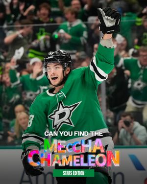 Image post by @dallasstars on Instagram