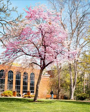 Image post by @marshallu on Instagram