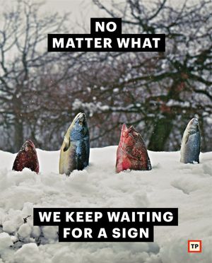 Image post by @toiletpapermagazineofficial on Instagram