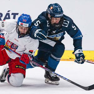 Image post by @leijonatfi on Instagram