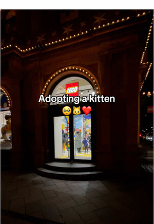 Video post by @lego on TikTok