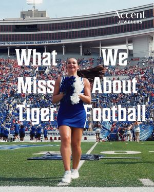 Image post by @memphisathletics on Instagram