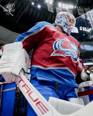 Image post by @wedgewall on Instagram