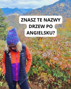 Image post by @angielski.kompas on Instagram