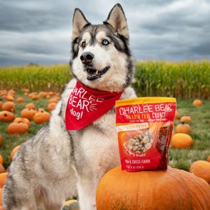 Image post by @charlee_bear_dogtreats on Instagram