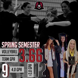 Image post by @IUPVB on Twitter