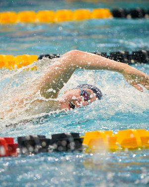 Image post by @duquesne_swim_dive on Instagram