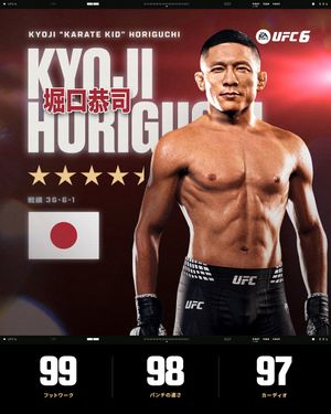 Image post by @ufc.japan on Instagram