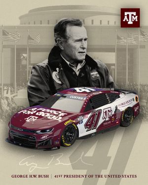 Image post by @tamu on Instagram
