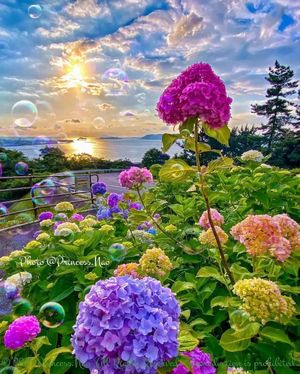 Image post by @nature88885 on Instagram