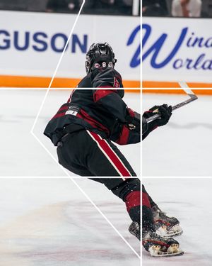Image post by @cockhockey on Instagram