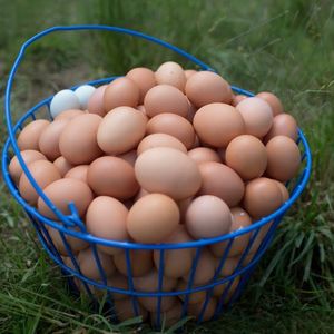 Image post by @fishkillfarms on Facebook