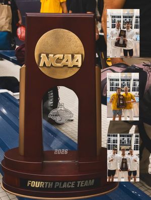 Image post by @sundevilswimdive on Instagram