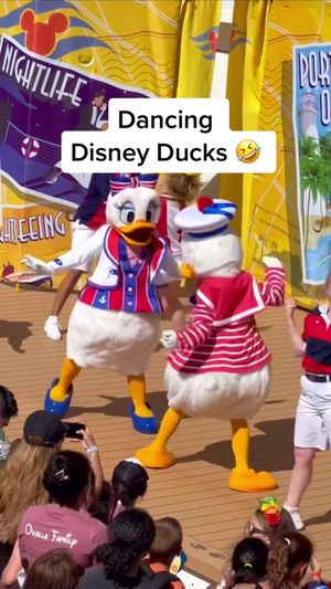 Video post by @livinglocurto on TikTok