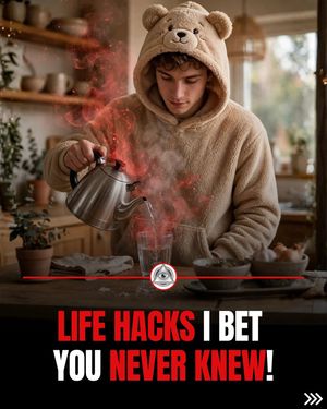 Image post by @conspiracytheorily on Instagram