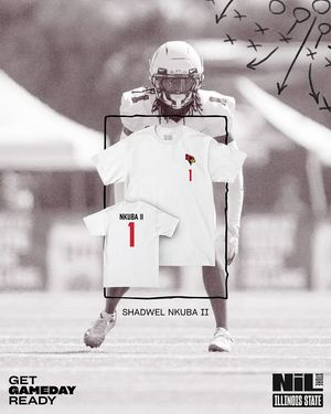 Image post by @illinoisstatenilstore on Instagram