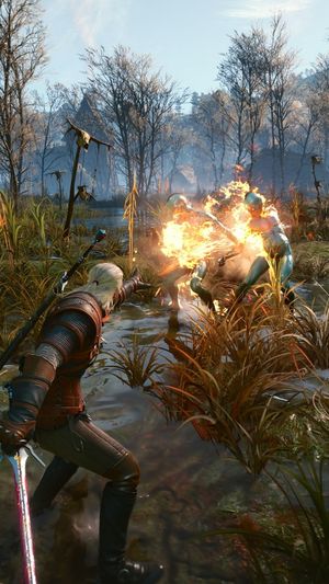 Video post by @thewitcher on Instagram