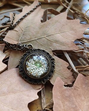 Image post by @leafyaffair on Instagram
