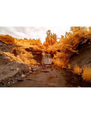 Image post by @milesbjordan on Instagram