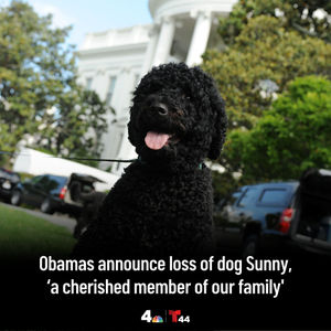Image post by @nbcwashington on Instagram