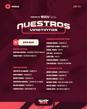 Image post by @selevinotinto on Instagram