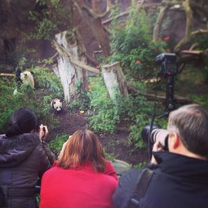 Image post by @sandiegozoo on Instagram