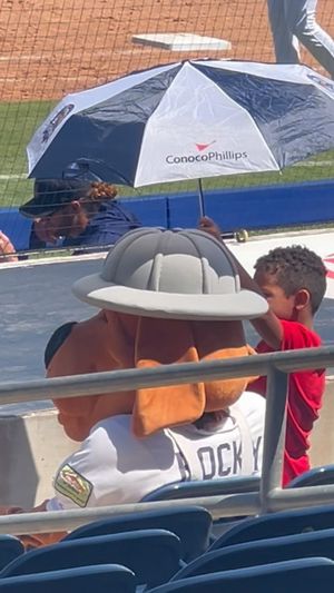 Video post by @midland.rockhounds on Facebook