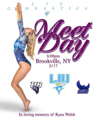 Image post by @liuwgymnastics on Instagram