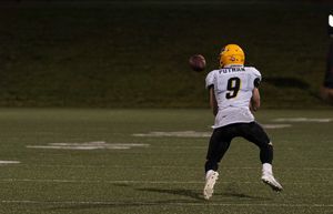 Image post by @TheSpringLeague on Twitter