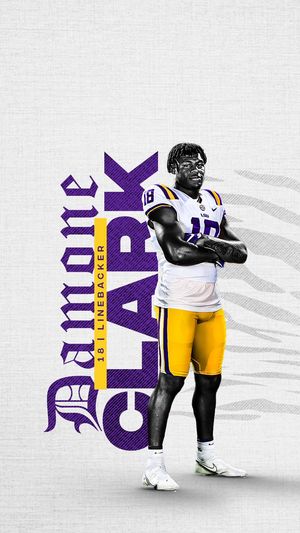 Image post by @LSUFBrecruiting on Twitter