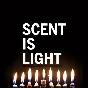 Image post by @scentbeauty on Instagram