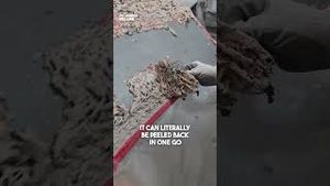 Video post by @supercarblondie on YouTube